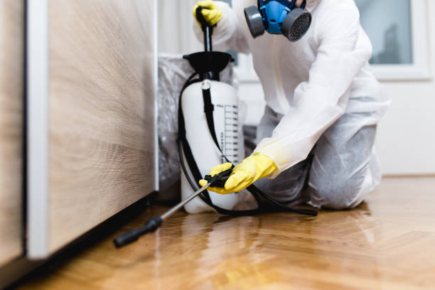 Best Termite Control Services  in Clinton, OH