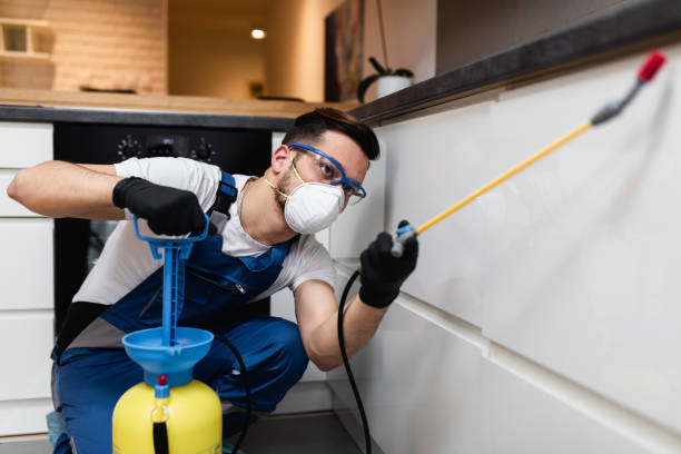 Best Best Pest Control Companies  in Clinton, OH