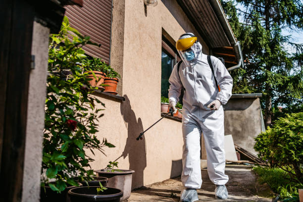 Best Local Pest Control Services  in Clinton, OH