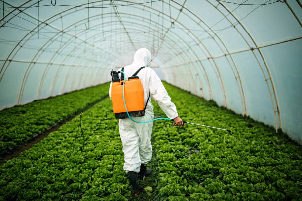 Best Pest Control Treatment  in Clinton, OH