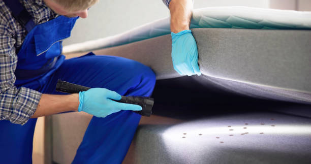 Best Ant Control Services  in Clinton, OH