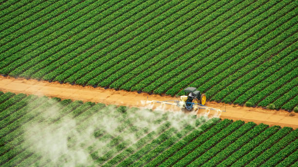 Best Mosquito Control Services  in Clinton, OH