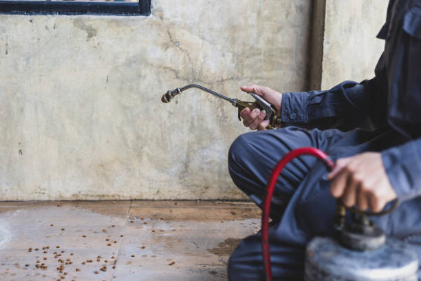 Best Residential Pest Control  in Clinton, OH